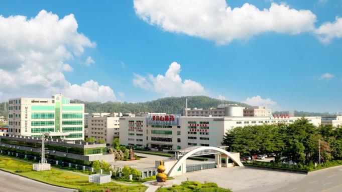 力推中医药现代化，罗浮山国药中医药传承创新备受关注