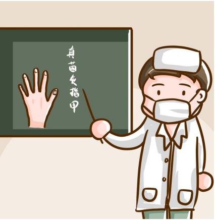 用了亮甲后指甲多久会掉，多久长出新甲?