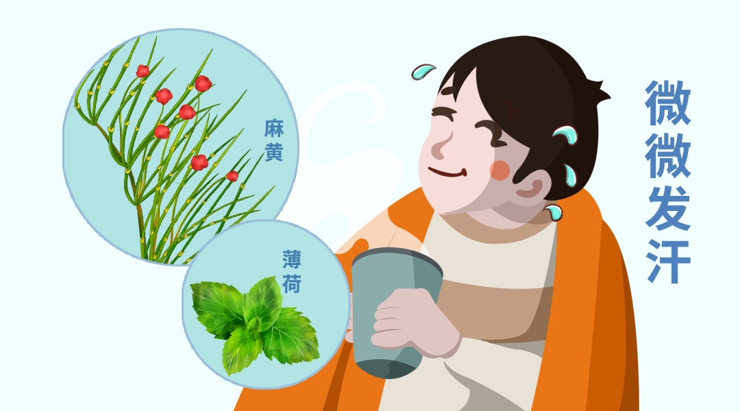 谈谈连花清瘟作为感冒药的优势