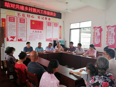 助力乡村振兴，你我蚁路同行！