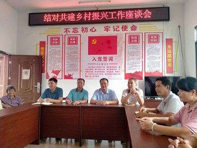 助力乡村振兴，你我蚁路同行！