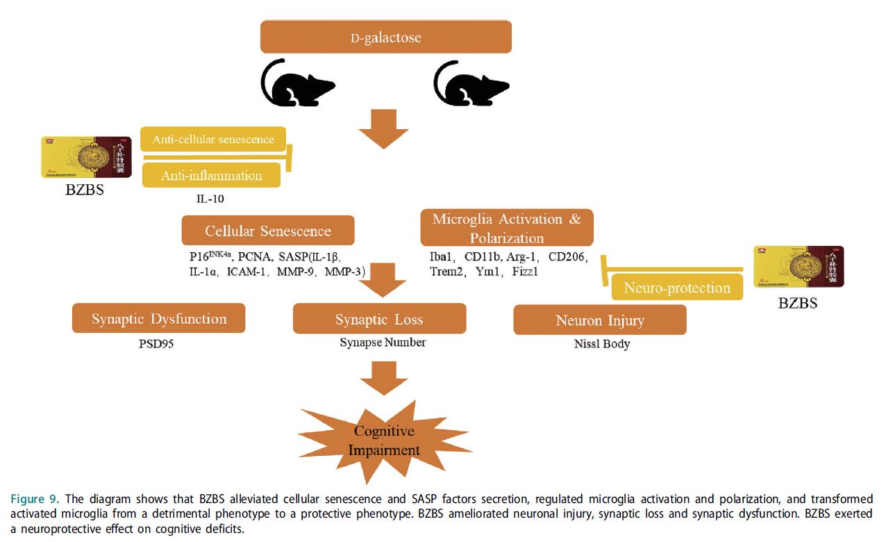 百岁老人总结的2个长寿秘诀，不需要花太多钱，这样做更显年轻！
