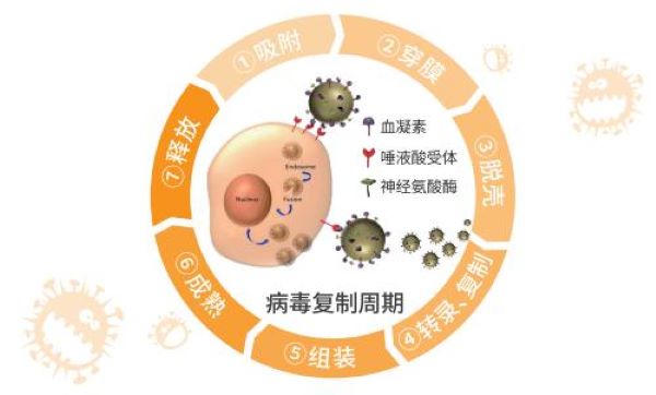 得了流感应该如何治疗？抗病毒可以用磷酸奥司他韦吗？