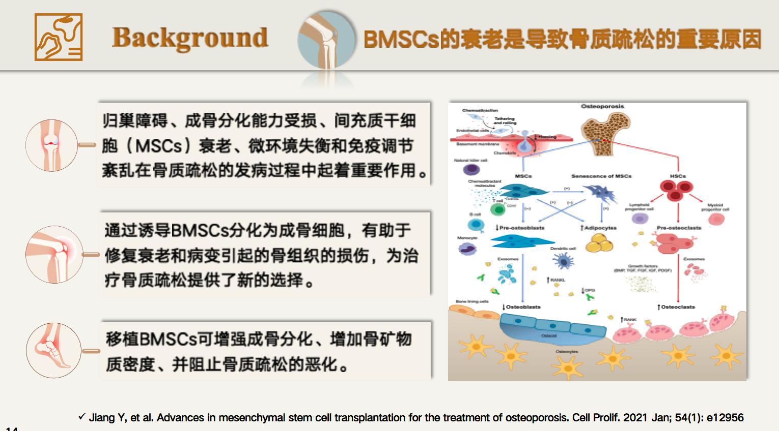 骨质疏松有解了？第十九届国际络病学大会揭秘中医抗衰最新进展