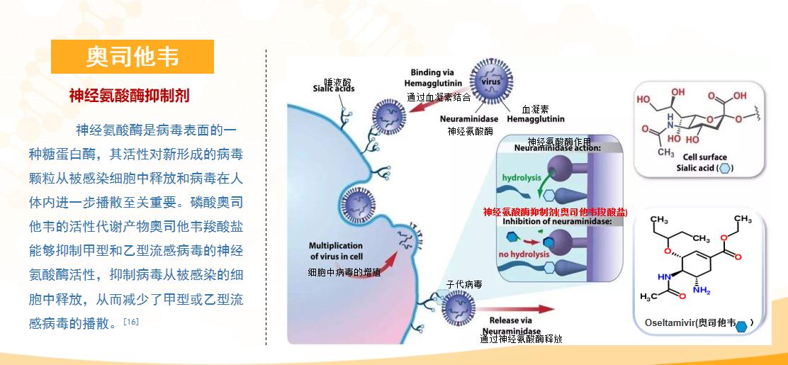 小儿的抗病毒颗粒有哪些？如何选择呢？
