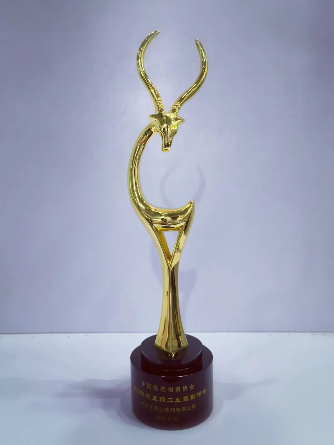 喜获双奖 | 好医生集团亮相第17届中国成长型医药企业发展大会