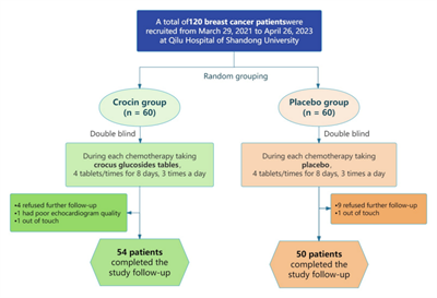 ACC.24中国之声丨张梅教授团队：西红花总苷片对肿瘤治疗相关心脏损害具有一级预防作用