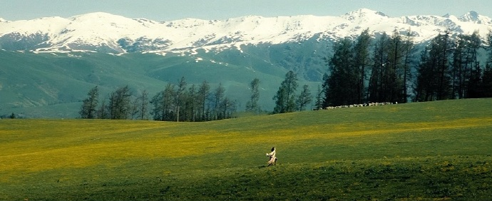 漫步于湖泊、草原、荒漠，京万红陪你一起感受阿勒泰的美！