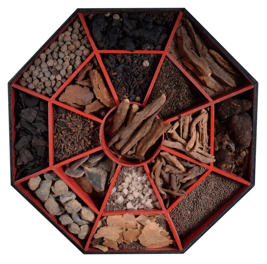 匠心传世 广誉远扬 | 500年广誉远邀您共赴2025乌镇健康大会，共赏国药盛典！