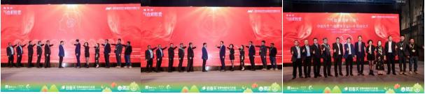 摩美得气血和胶囊：乌镇健康大会新亮相，领航气血健康新升级