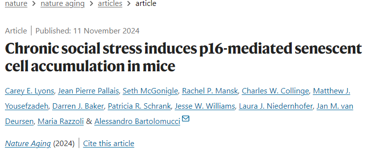 保持年轻的十大抗衰方法，科学延寿指南