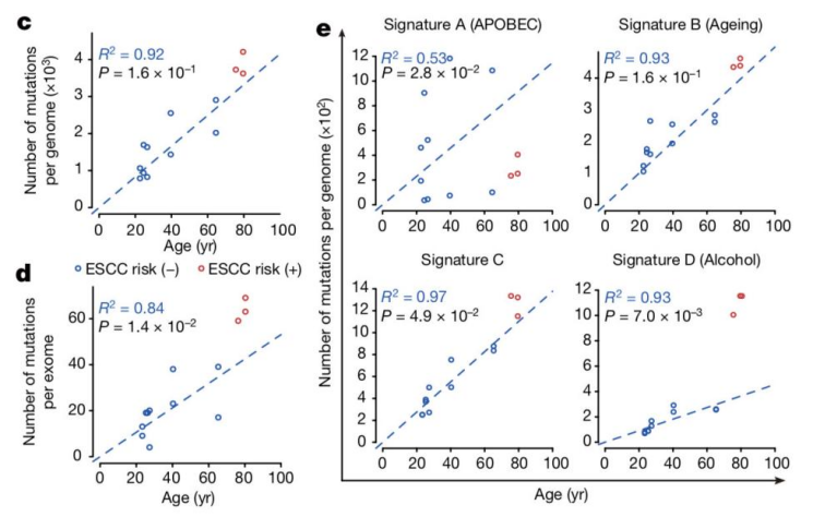 保持年轻的十大抗衰方法，科学延寿指南