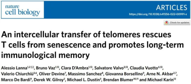 揭晓十大前沿抗衰老方案，让“逆龄”成为现实！