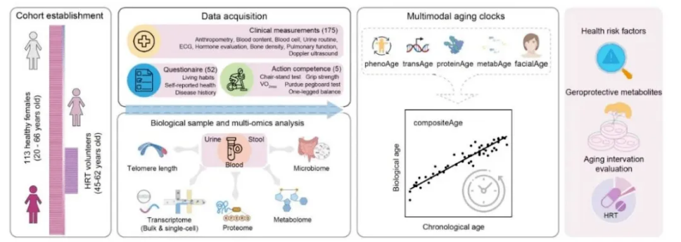 揭晓十大前沿抗衰老方案，让“逆龄”成为现实！
