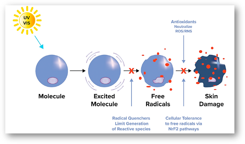 保持年轻的十大抗衰方法，科学延寿指南