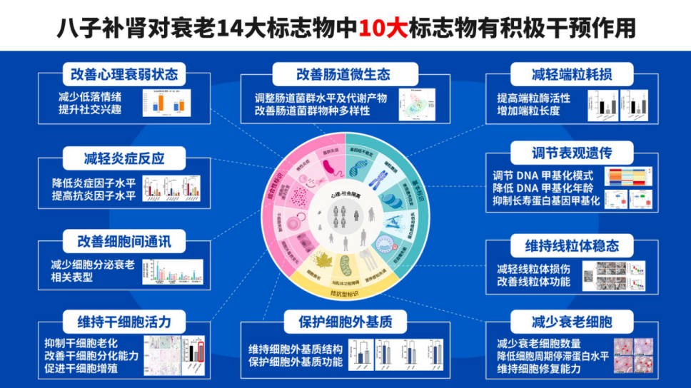 从延年益寿到健康长寿：循证医学引领抗衰老策略革新，十大科学抗衰老方法助力健康老去！