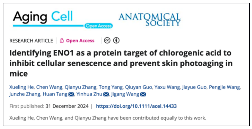 十大高效抗衰方法，抗衰不踩坑！