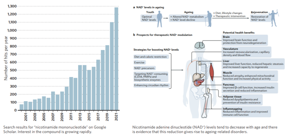 从延年益寿到健康长寿：循证医学引领抗衰老策略革新，十大科学抗衰老方法助力健康老去！