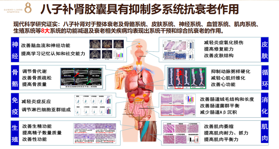 十大高效抗衰方法，抗衰不踩坑！
