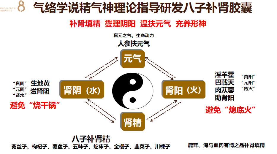 抗衰新策略！研究揭示十大抗衰老核心机制，健康长寿新趋势不容错过！