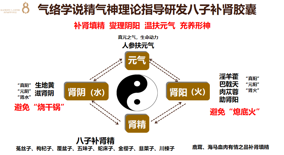 科学抗衰全景图：10个关键行为的深度解析