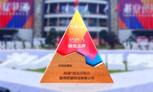 闪耀万艋会！联盛&reg;酮洛芬贴片、福斯多&reg;苯磺酸左氨氯地平片荣获“2025中国药店臻选品牌奖”