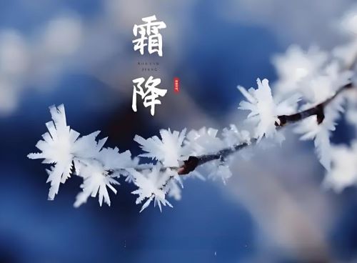 霜降将至，呼吸道疾病进入高发期，新冠用药先诺欣提醒公众警惕新冠风险