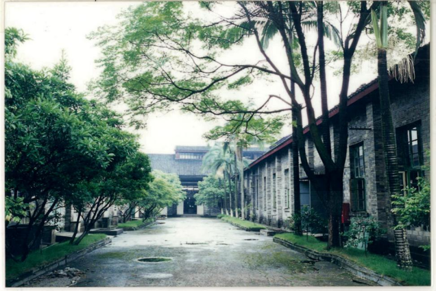 民间验方到国民护肝药：玉林复方鸡骨草胶囊的守护之路