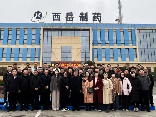 聚力启新程 | 西岳制药非布司他片震撼上市，原料制剂一体化构筑竞争新护城河