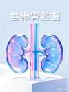 世界肾脏日：当身体&ldquo;低电量警告&rdquo;，八子补肾助力重启生命活力