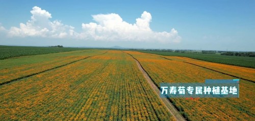 跨境保健品合规大考与行业信任重建