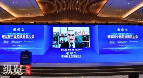 第五届中医药抗衰老大会｜英国专家揭秘：激活细胞自噬，可为血管做“大扫除”