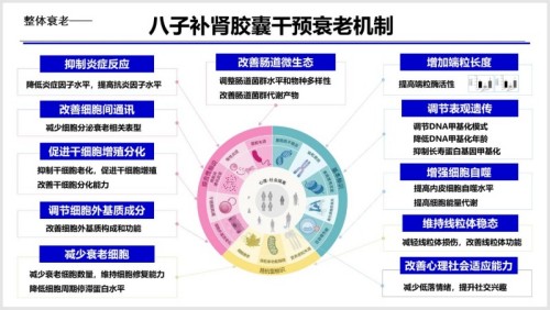 第五届中医药抗衰老大会举行——吴以岭院士分享气络学说指导抗衰老研究丰硕成果 助力健康老龄化