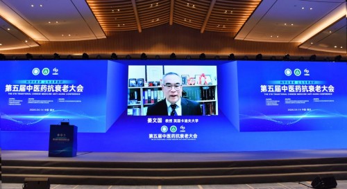 英国卡迪夫大学科研团队研究发现我国专利创新中药八子补肾可激活细胞自噬机制对抗血管衰老