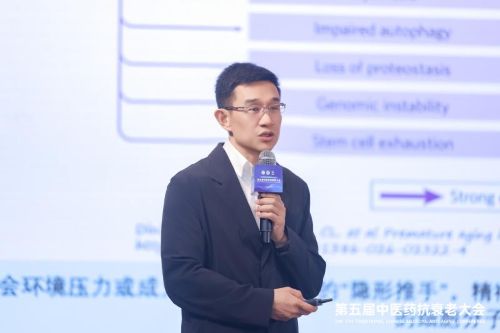 压力大会加速衰老？八子补肾最新成果：可逆转压力诱导的全身损伤八子补肾抗衰老研究：锁定压力导致的“次黄