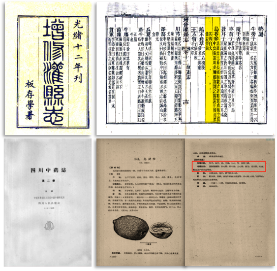 乌灵菌粉核心成分拆解：不止安神，更养身心