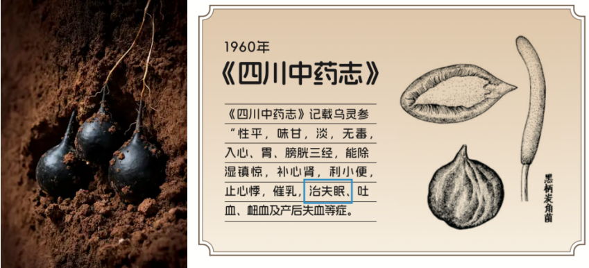 乌灵胶囊全新包装已上市！乌灵启新篇，品质始终不变