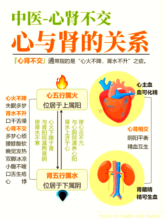 乌灵溯源 | 中医视角拆解心肾不交
