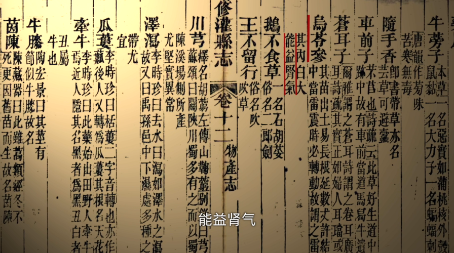 乌灵溯源 | 中医视角拆解心肾不交